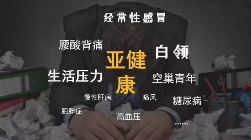 中医健康管理：传统智慧与现代生活的完美融合