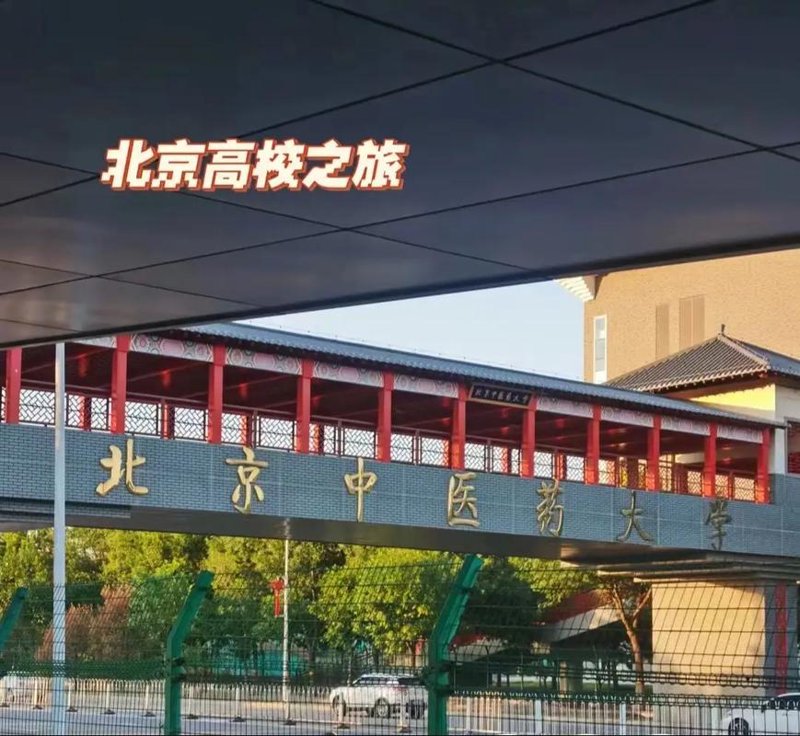 慢性病的调理秘籍：寻找生活的平衡之道