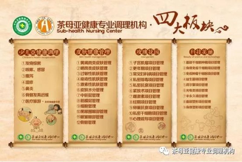 中医养生：传统智慧与现代健康理念的融合